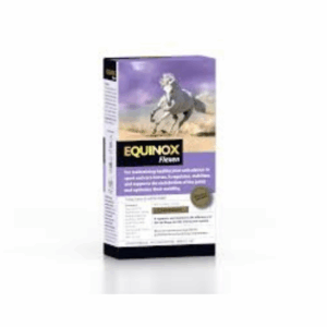 equinox_2