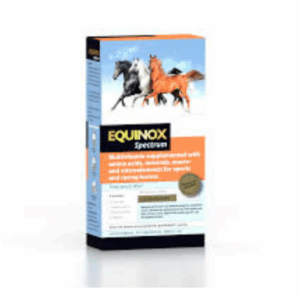 equinox_3