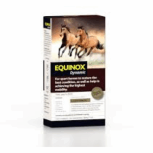 equinox_dynamic